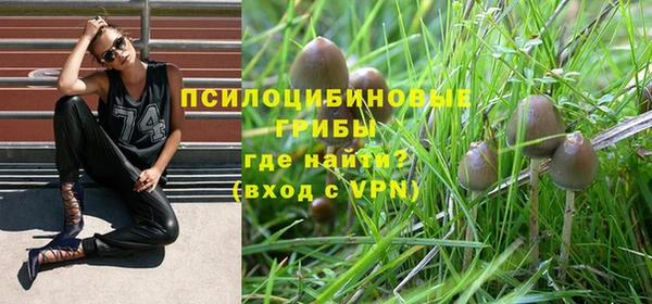 молекула духа Каменск-Шахтинский
