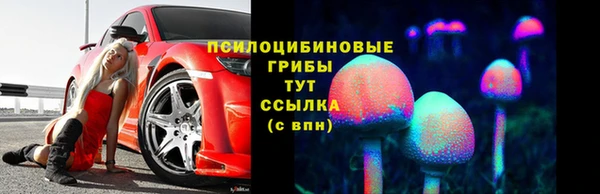 молекула духа Каменск-Шахтинский