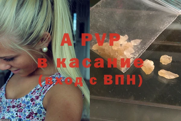 молекула духа Каменск-Шахтинский