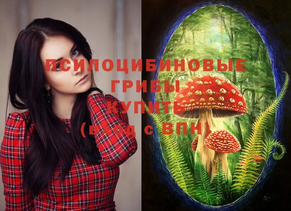 гашиш Шали