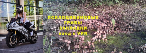 ALPHA-PVP Каменногорск