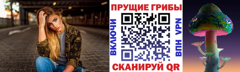 Галлюциногенные грибы прущие грибы  ОМГ ОМГ как зайти  Димитровград 