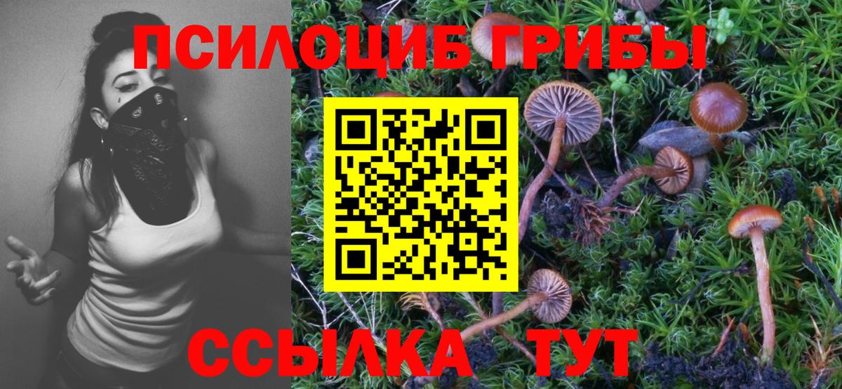 Псилоцибиновые грибы ЛСД  Вход с VPN  Псилоцибиновые грибы мицелий  Димитровград 