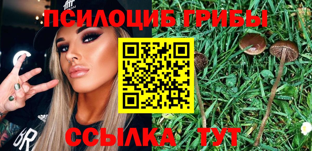 Галлюциногенные грибы GOLDEN TEACHER  Димитровград  Псилоцибиновые грибы мухоморы 